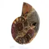 Ammonite of Mahajanga: Duality and Tradition - 3