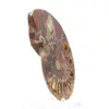 Ammonite from Madagascar: Mineral Fineness - 3