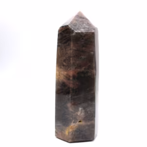Major Prism in Microcline - Authentic Black Moonstone