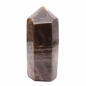 Microcline Collection Prism - Intense Black Moonstone