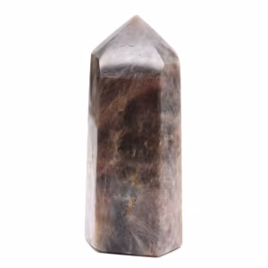 Madagascar Microcline Prism - Pure Black Moonstone