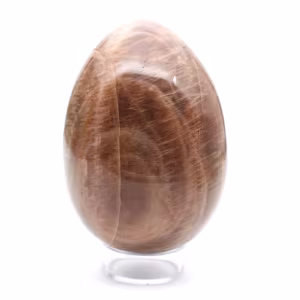 Black Moonstone - Microcline Egg 455g