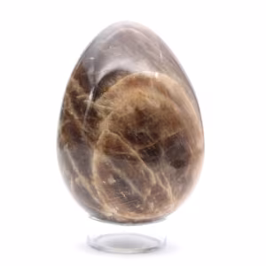 Madagascar Microcline Egg - Moonstone