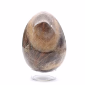 Black Moonstone Microcline Egg
