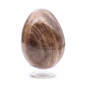 Black Madagascar Microcline Egg 235g