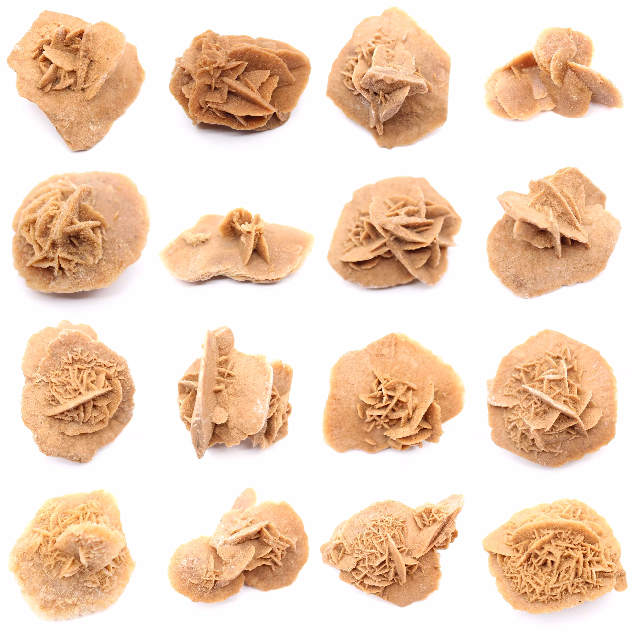 Small Desert Rose of Morocco: natural geological fragment