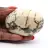 Feldspar pebble from Madagascar – Geological specimen