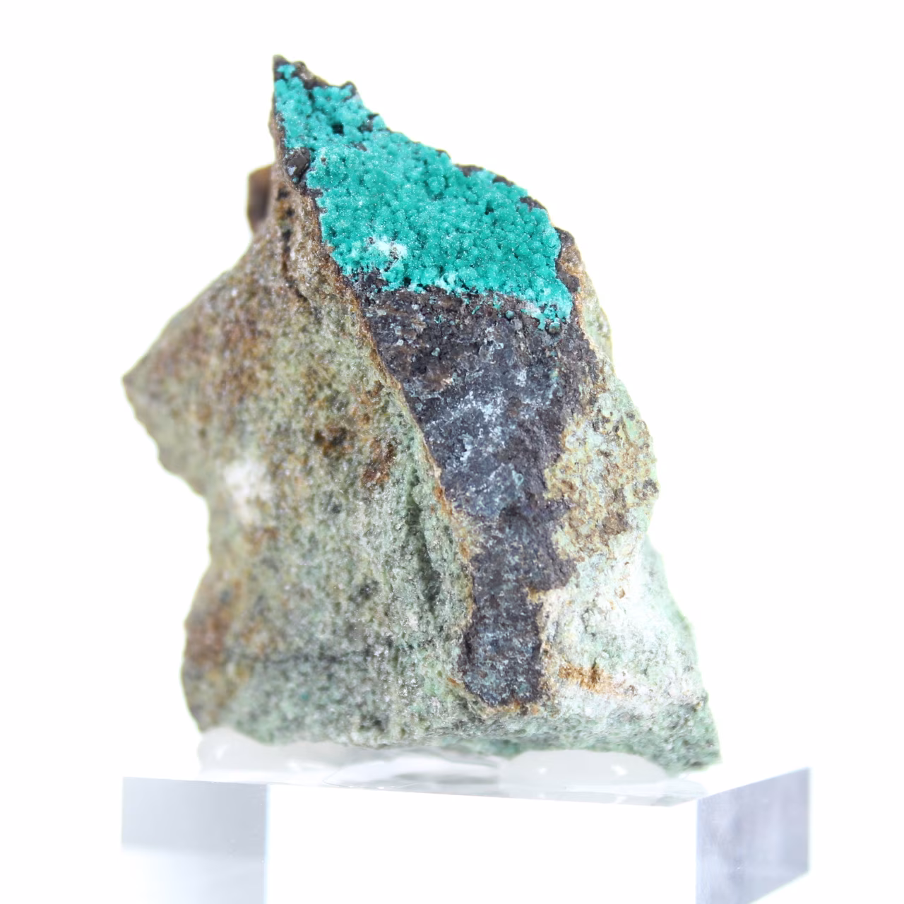 Raw Brochantite from Chile - Natural Crystals on a Stand