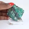 Raw Brochantite Crystals on Gangue from Chile on Base - 1