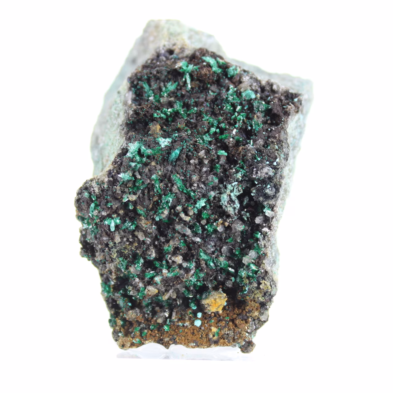 Raw Brochantite from Chile - Scientific Specimen on Plinth