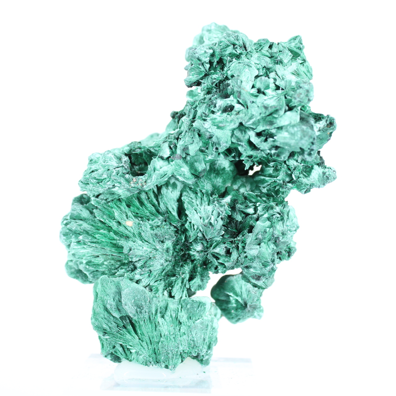 Large aggregate of needle-like malachite from DRC on acrylic stand