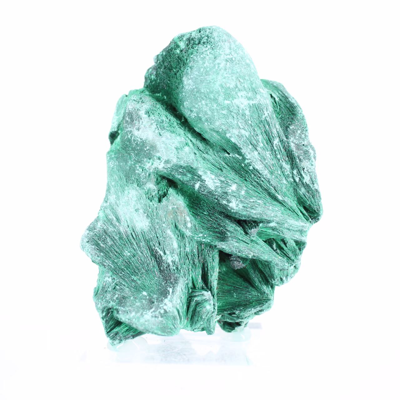 Silky malachite from Congo-Kinshasa, collector's mineral on stand