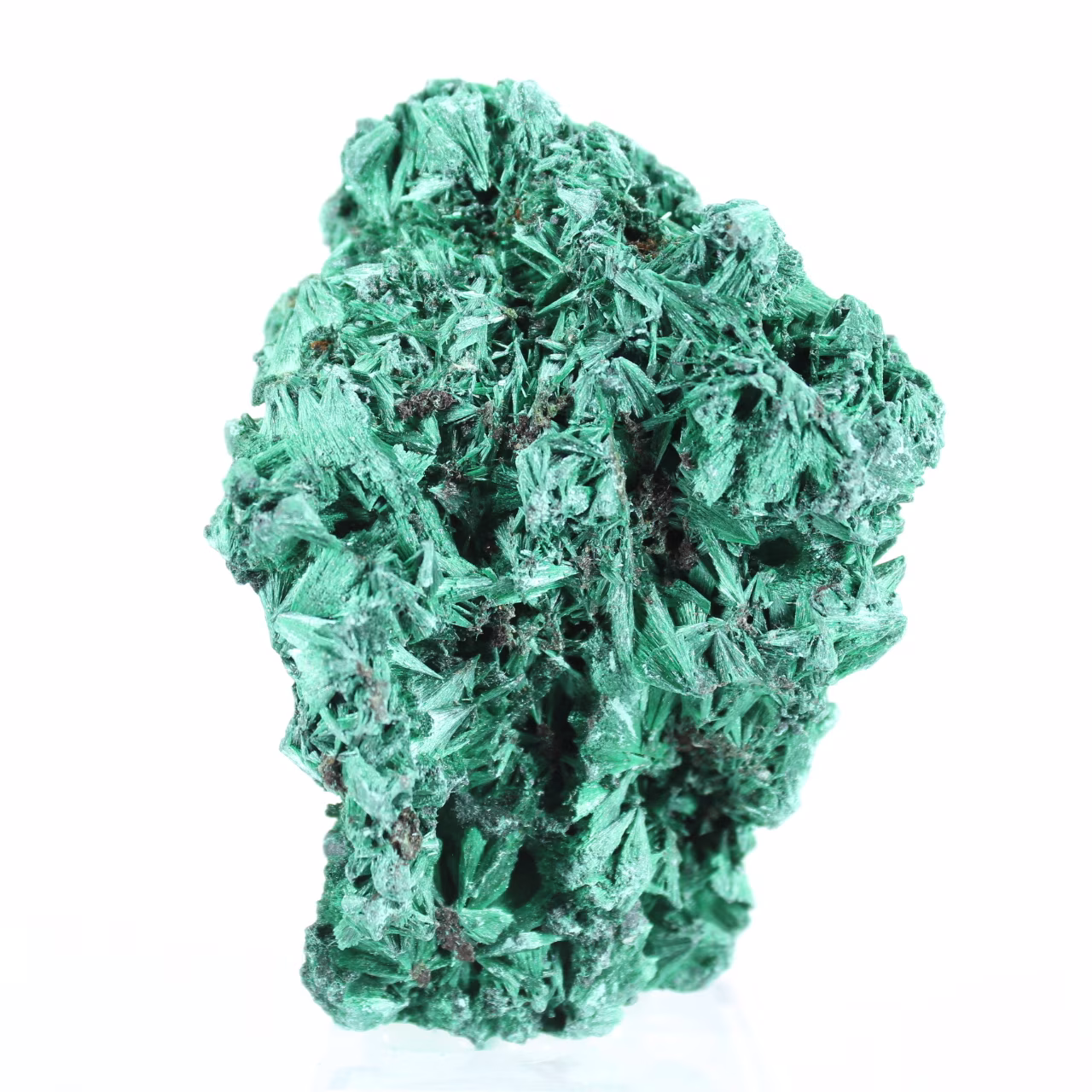 Small fibrous malachite specimen from DRC, acrylic stand included