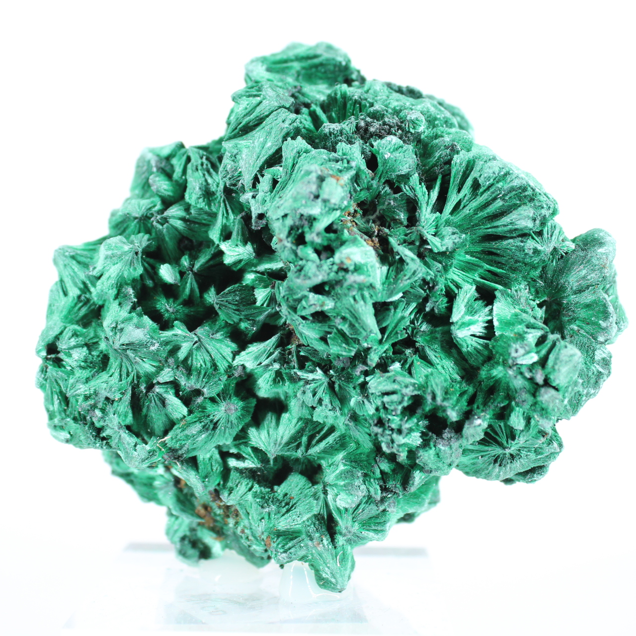 Acicular malachite from Congo, decorative natural stone on stand