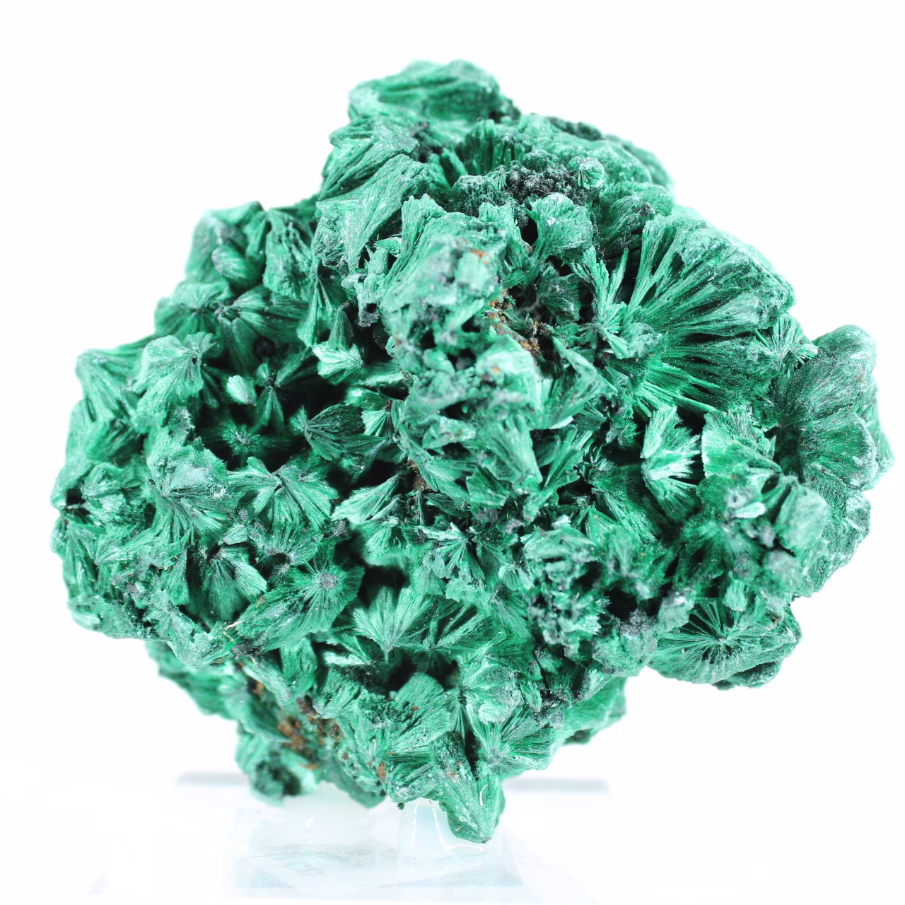 Acicular malachite from Congo, decorative natural stone on stand