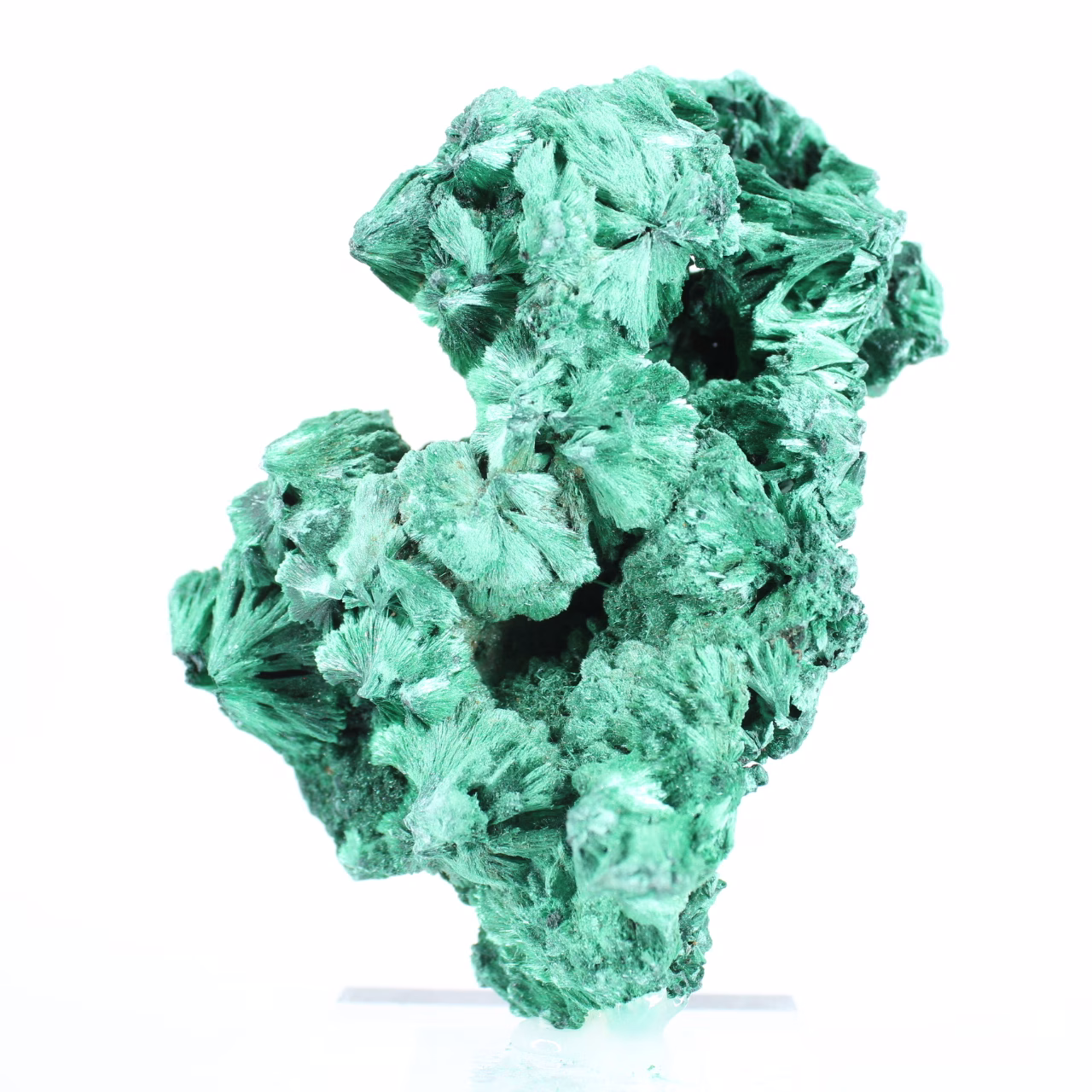 Slender fibrous malachite from DRC, authentic mineral on stand