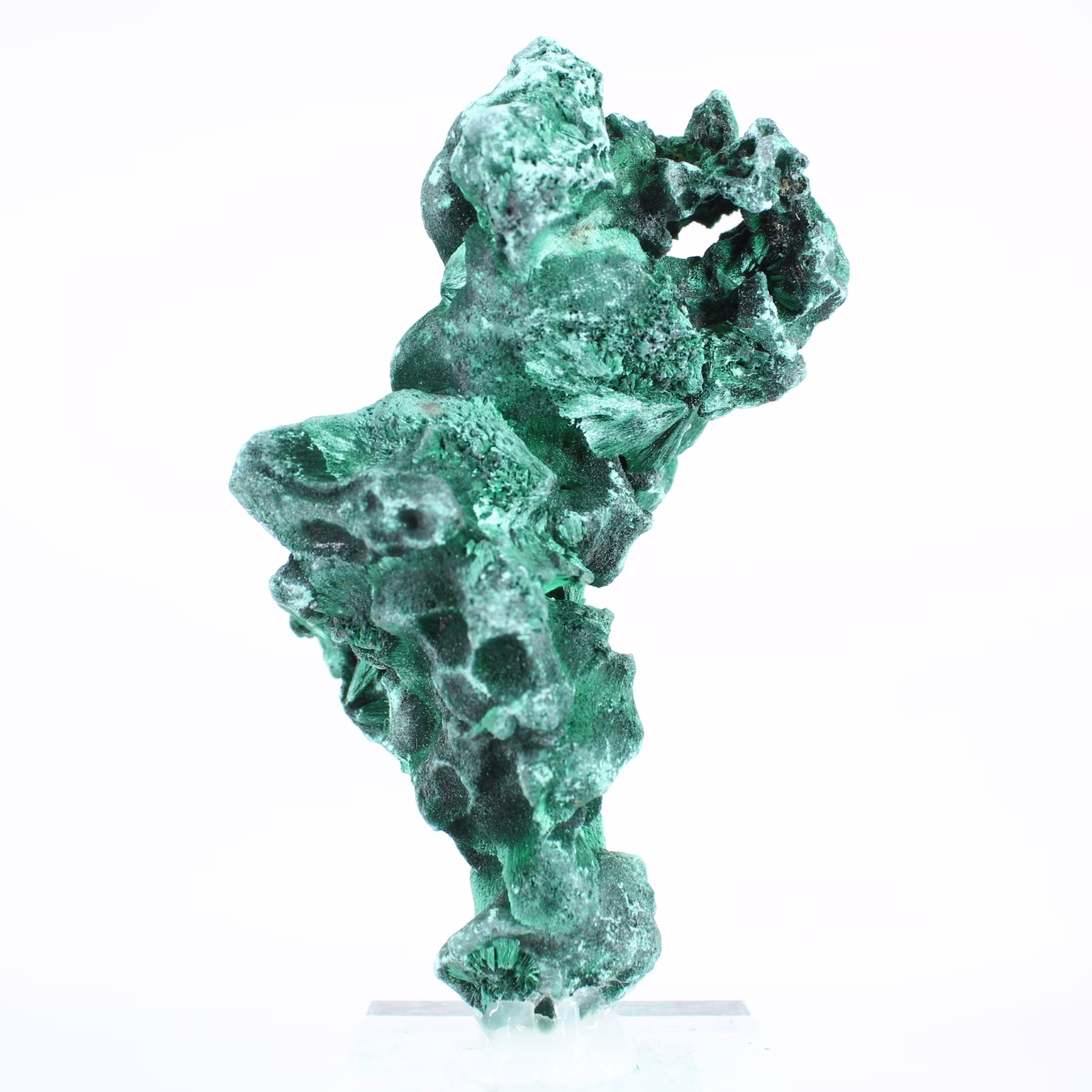 Tall fibrous malachite from DRC on stand, collector's stone