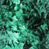 Compact malachite with silky lustre from Congo, mounted on acrylic - 5