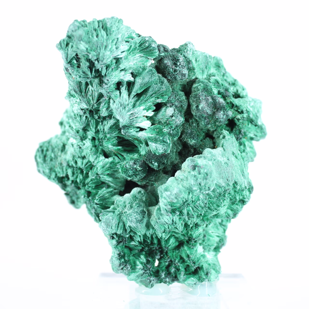 Compact malachite with silky lustre from Congo, mounted on acrylic