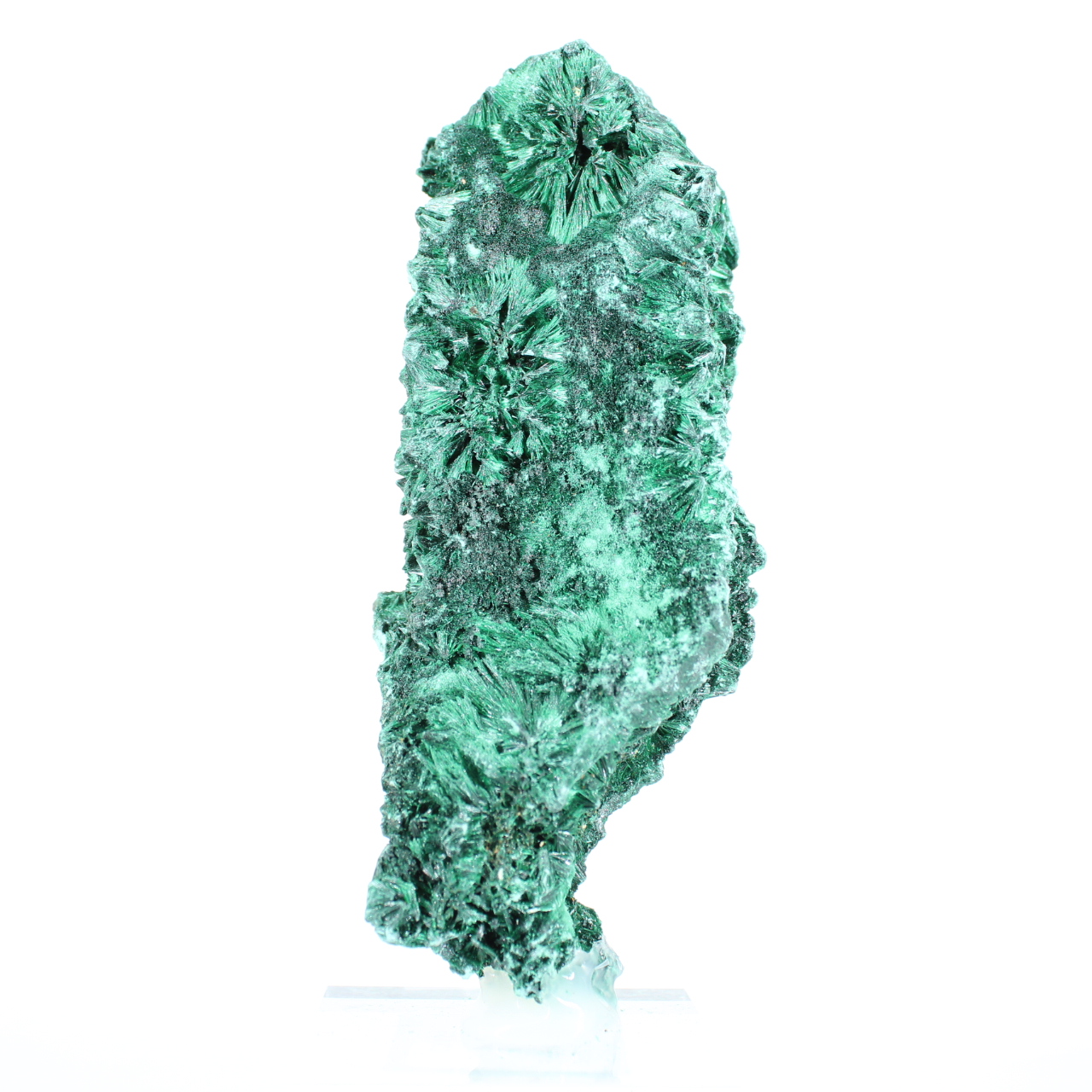 Fibrous malachite column from Congo, specimen on acrylic stand
