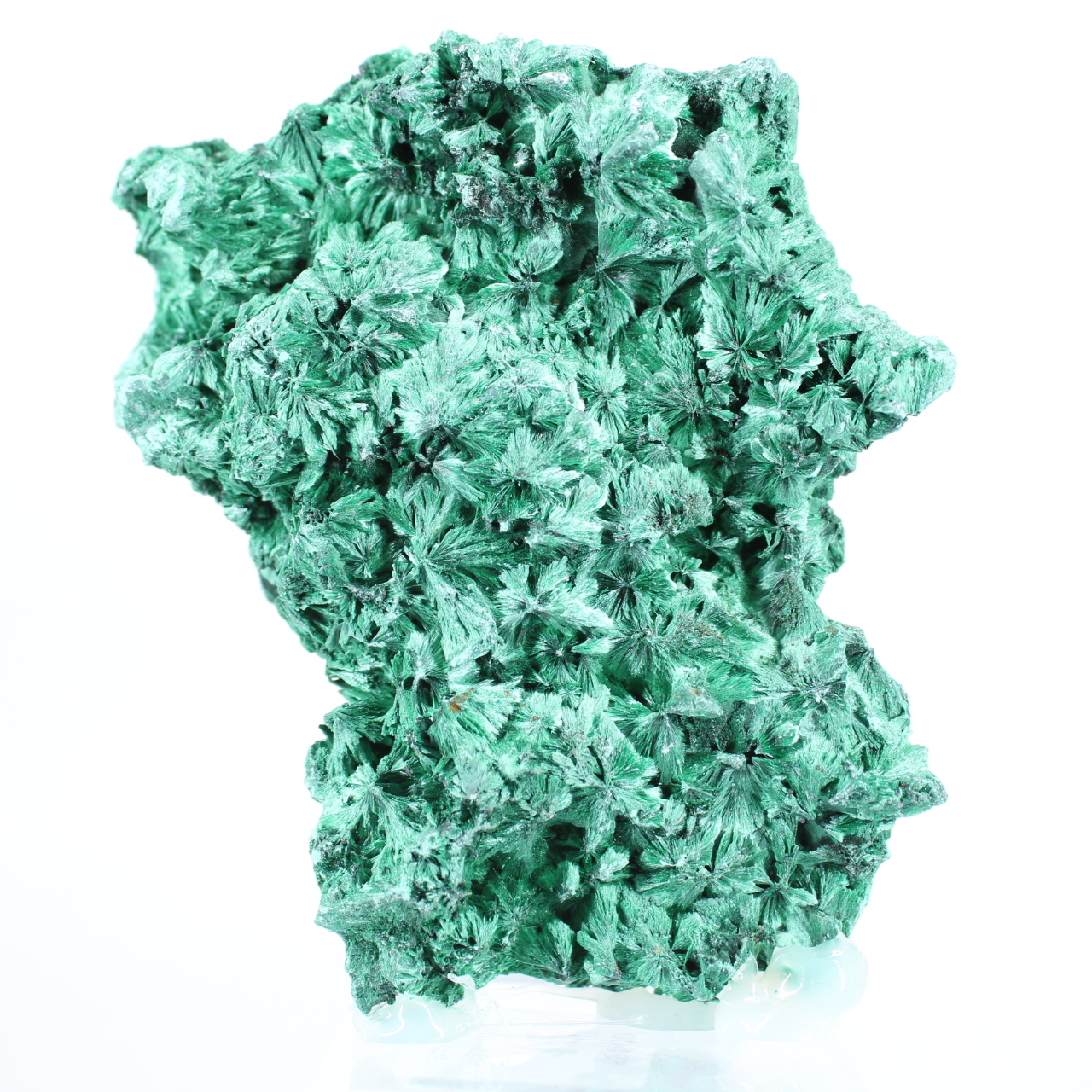 Flat-profile fibrous malachite from DRC, decorative mineral on stand