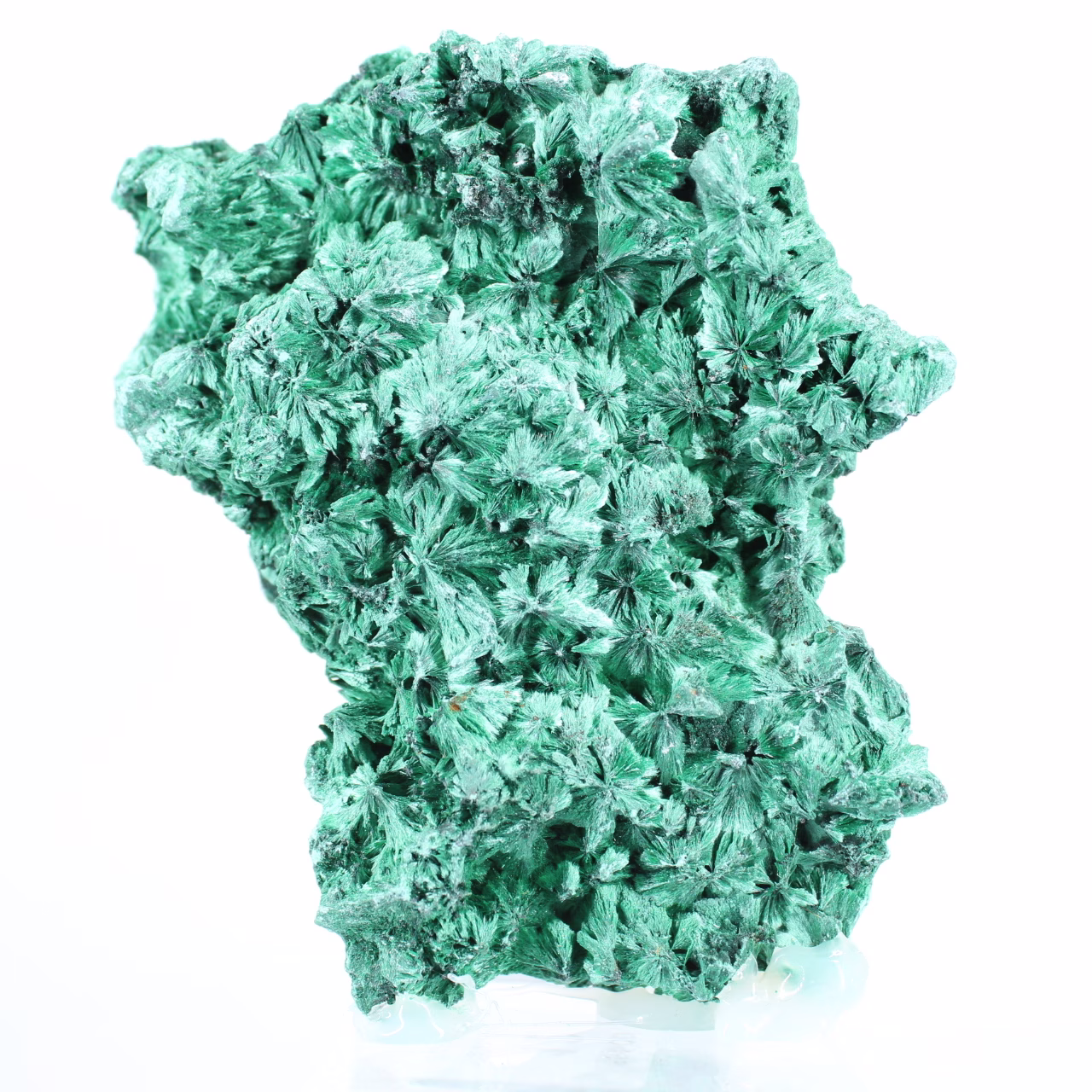 Flat-profile fibrous malachite from DRC, decorative mineral on stand