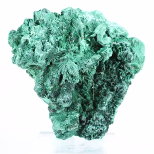 Natural green malachite from Congo in fibrous aggregate, on stand