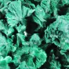 Fibrous malachite sample from Congo on transparent stand - 5