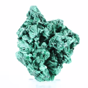 Fibrous malachite sample from Congo on transparent stand
