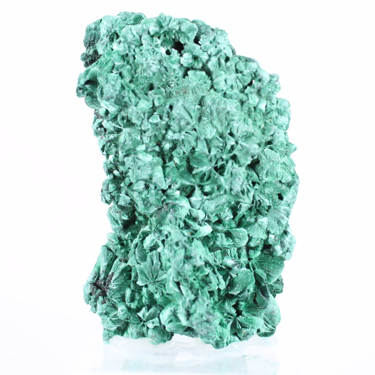 Fibrous malachite from Congo, collector's stone with satin lustre