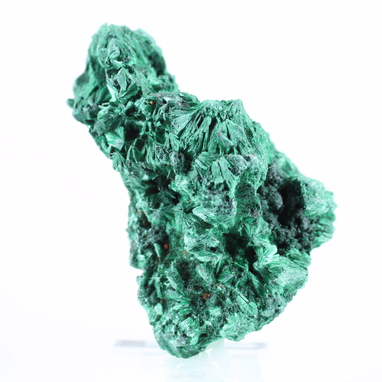 Malachite stone from DRC in radiating fibres, acrylic stand