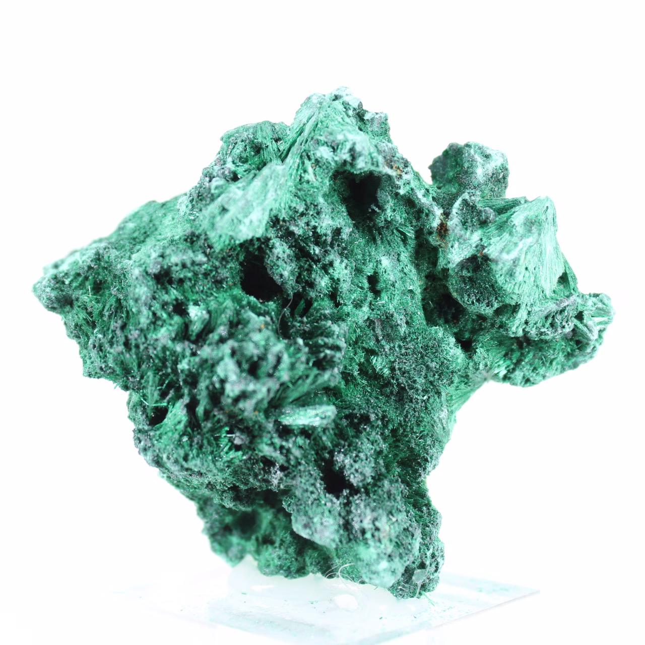 Natural fibrous-textured malachite from Congo, piece on stand