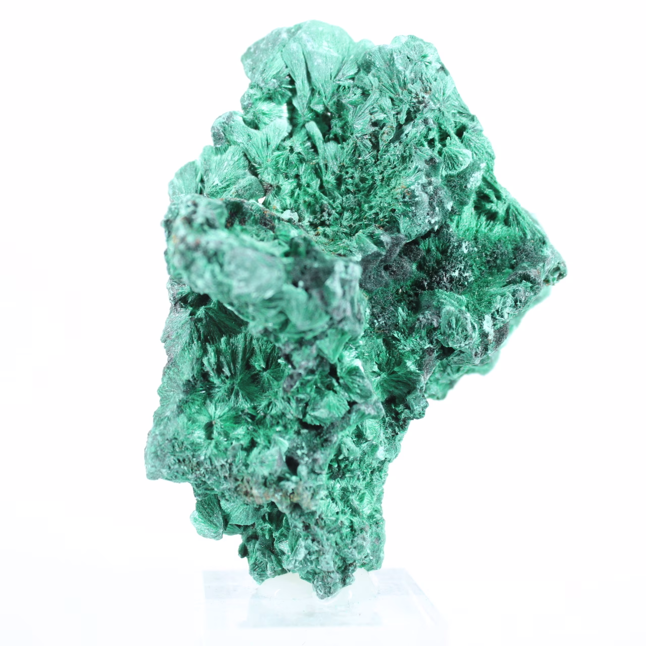 Fibrous-structured malachite from Congo, mineral specimen on stand