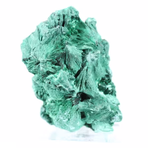Dense malachite with tight fibres from Congo, mineral on acrylic
