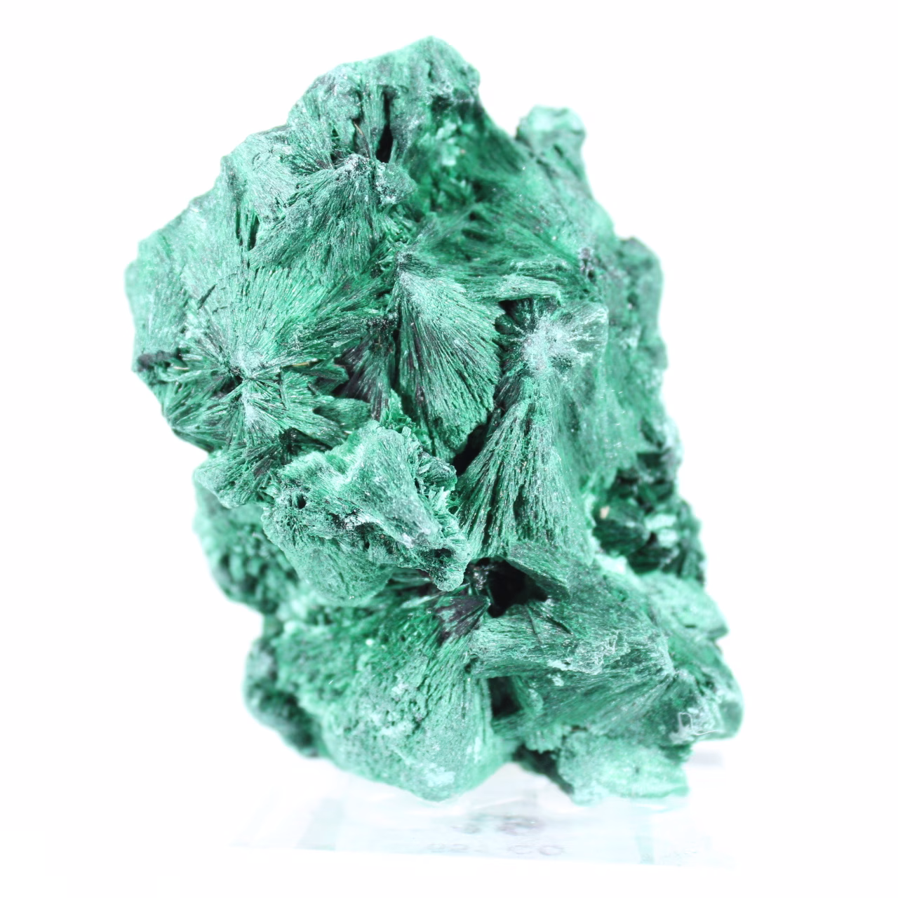 Dense malachite with tight fibres from Congo, mineral on acrylic
