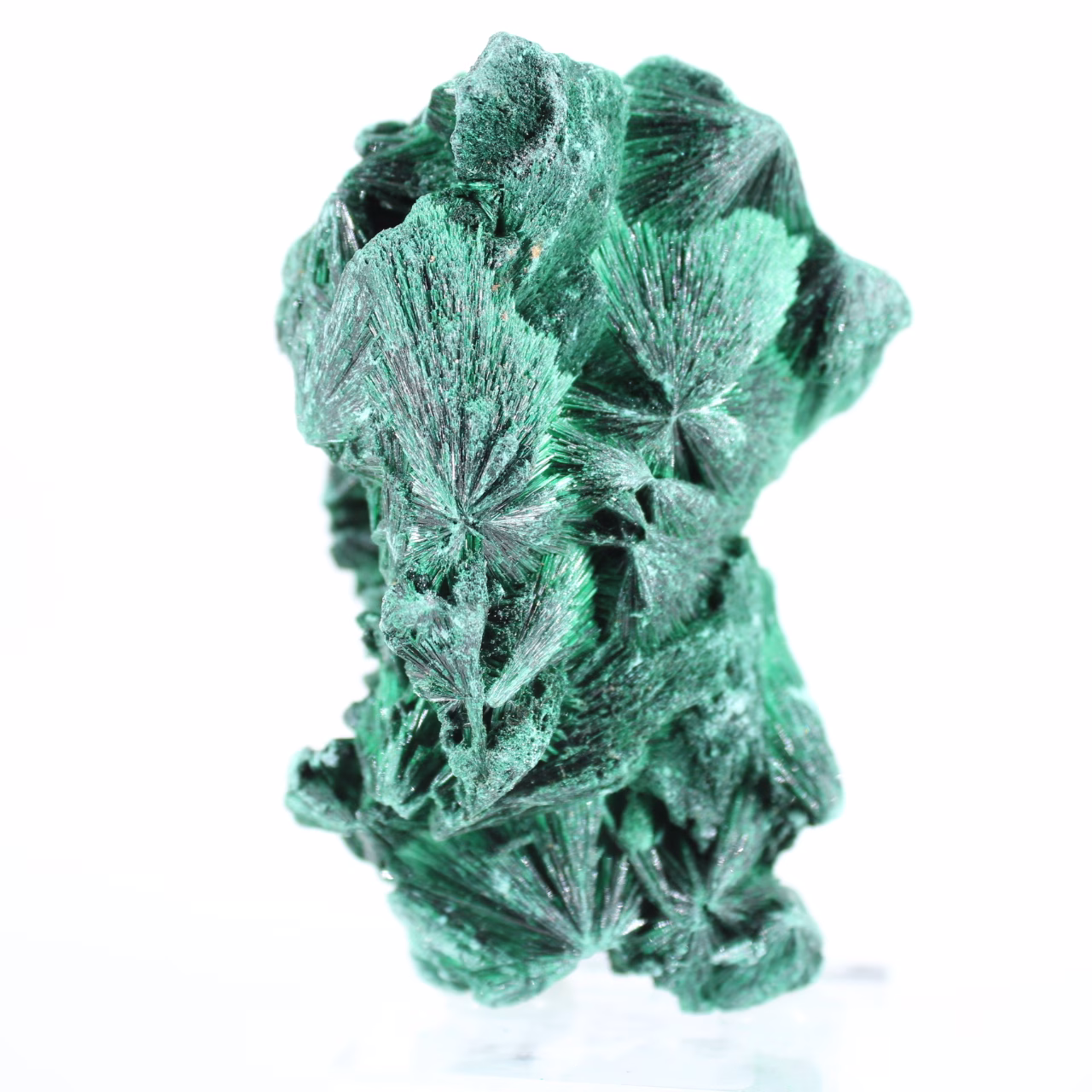 Fibrous malachite from the Democratic Republic of Congo on stand