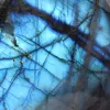 Polished Natural Labradorite Stone from Madagascar Collection - 4