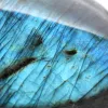 Polished Labradorite Mineral Freeform from Madagascar - 4