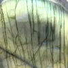 Ornamental Labradorite Stone from Madagascar for Display - 4