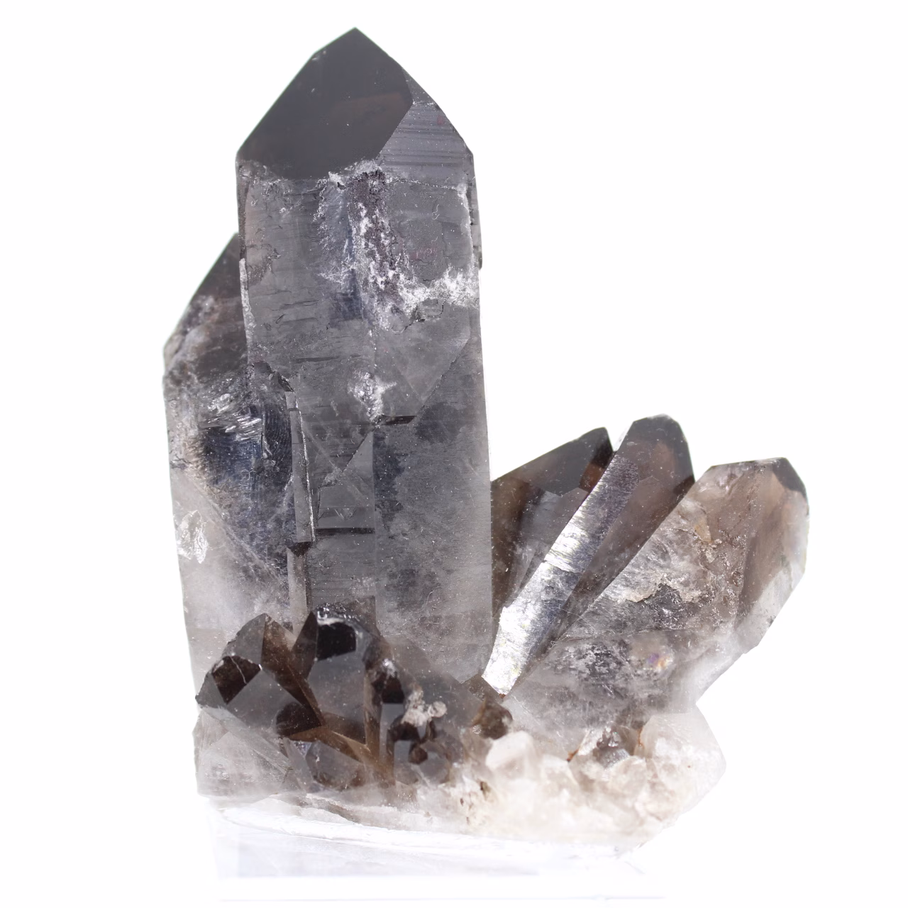 Morion quartz from Brazil, natural crystal displayed on acrylic stand