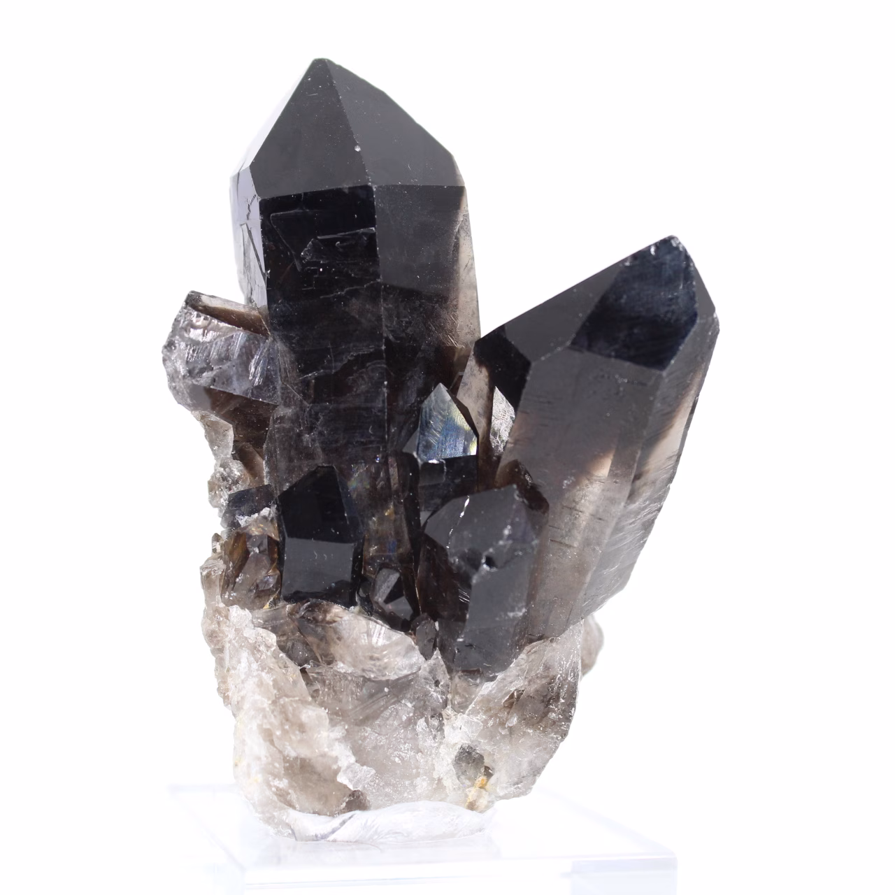 Black morion quartz from Brazil, one-of-a-kind crystal with acrylic stand