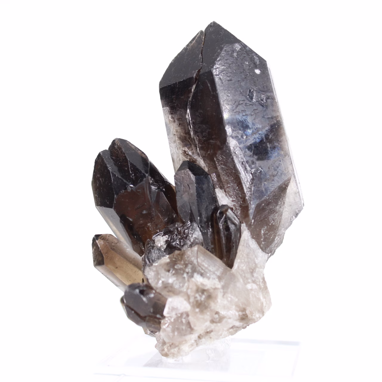 Stocky morion quartz crystal from Brazil, mineral specimen on stand