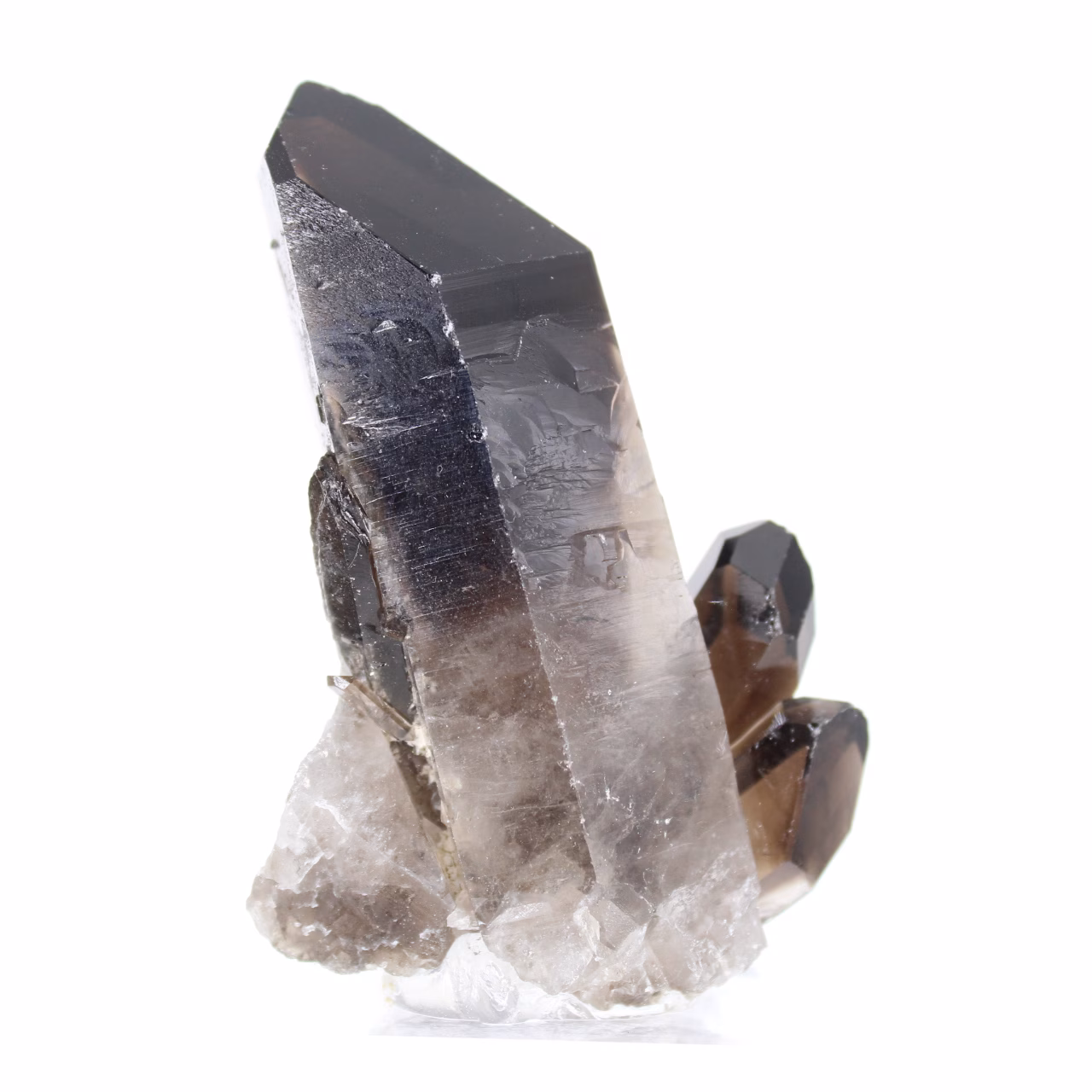 Slender Brazilian morion quartz crystal on stand, for collectors