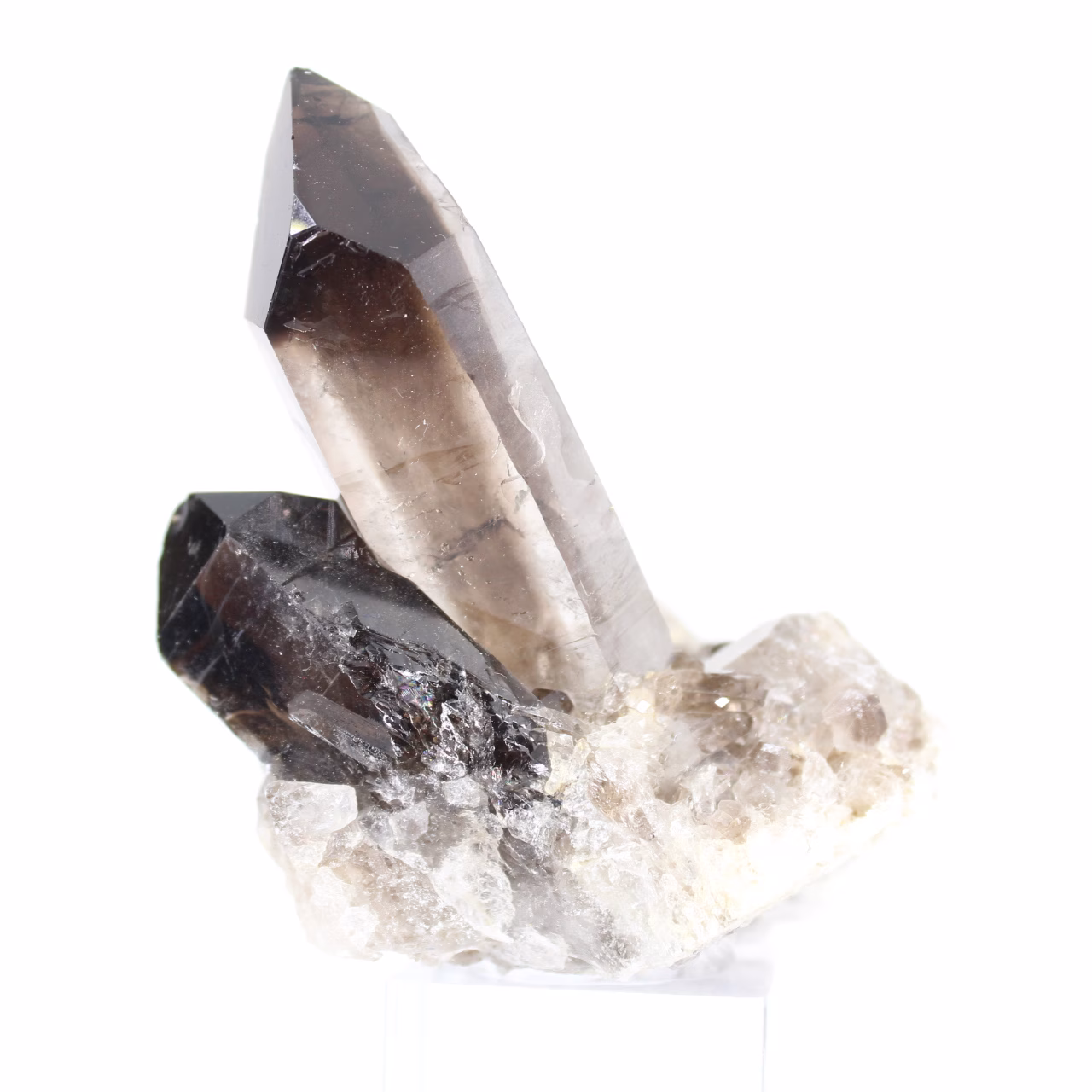 Morion from Brazil, black smoky quartz crystal on acrylic stand