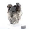 Morion quartz crystal of Brazilian origin, acrylic display stand - 2