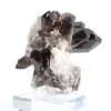 Morion quartz crystal of Brazilian origin, acrylic display stand - 4