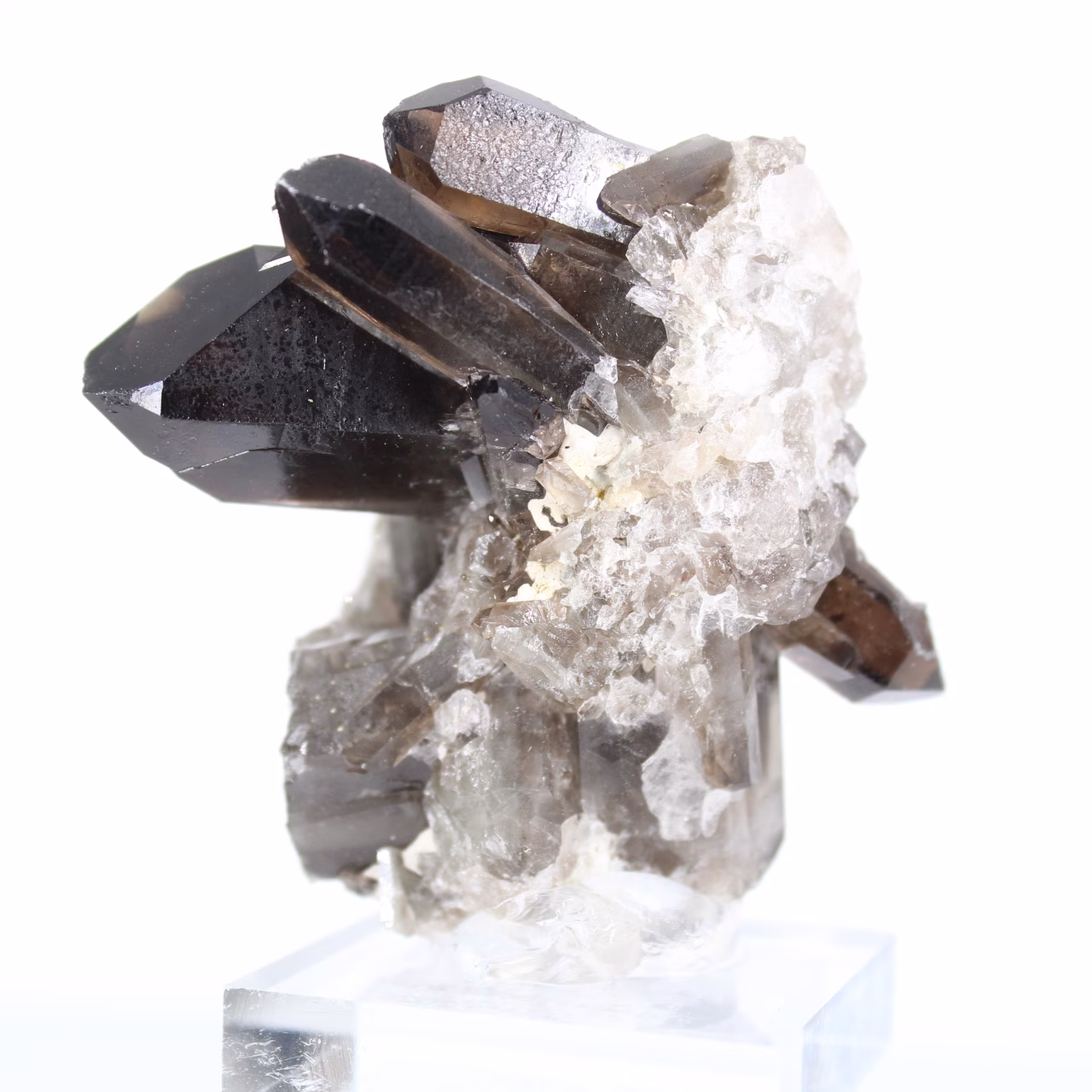 Morion quartz crystal of Brazilian origin, acrylic display stand
