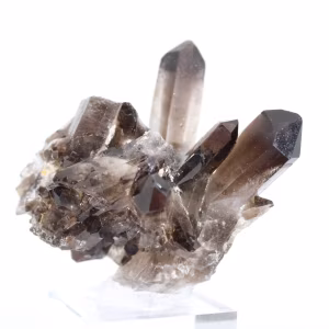 Morion quartz crystal from Brazil, black mineral mounted on a stand
