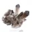 Morion quartz crystal from Brazil, black mineral mounted on a stand