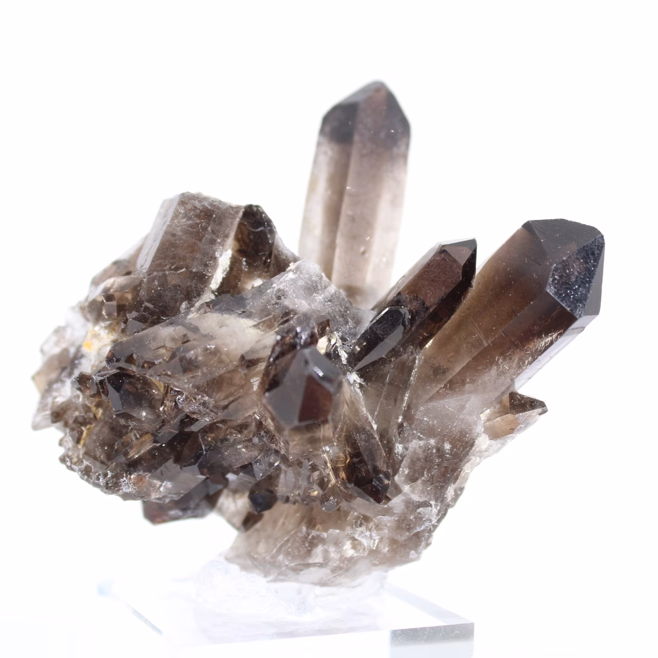 Morion quartz crystal from Brazil, black mineral mounted on a stand
